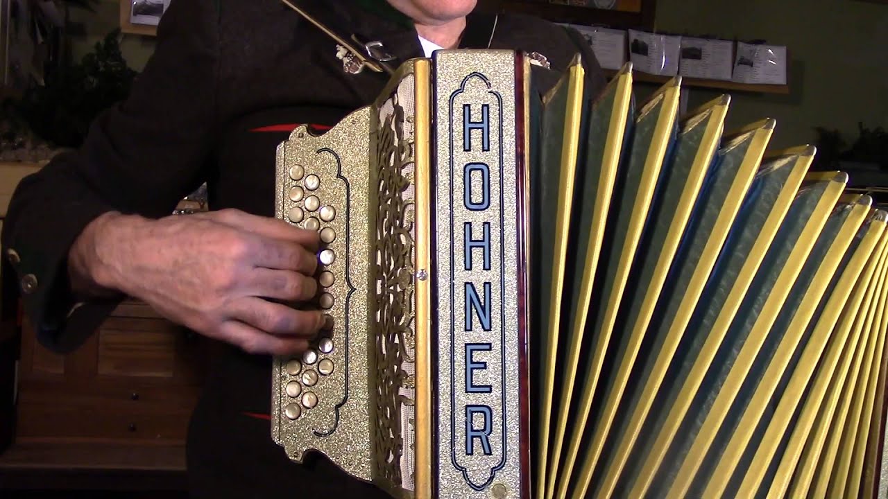 Hohner accordions for sale
